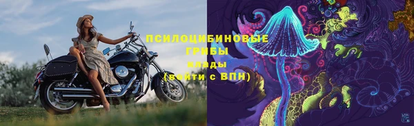 хмурый Гусь-Хрустальный