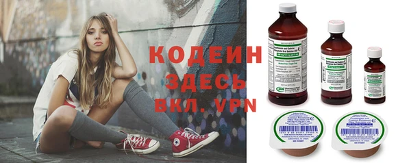 хмурый Гусь-Хрустальный
