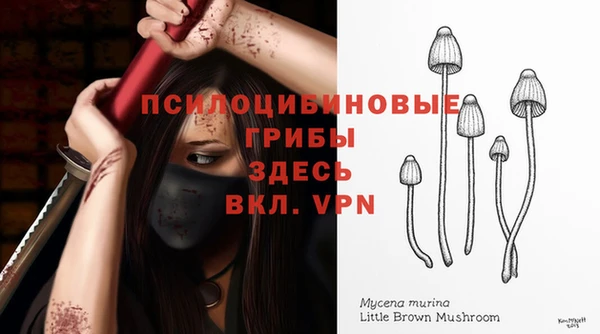 хмурый Гусь-Хрустальный