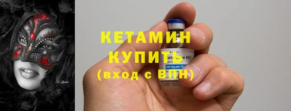 хмурый Гусь-Хрустальный