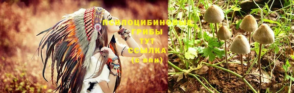 хмурый Гусь-Хрустальный