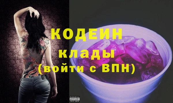 хмурый Гусь-Хрустальный