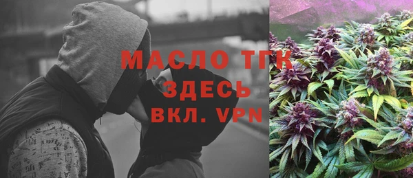 хмурый Гусь-Хрустальный