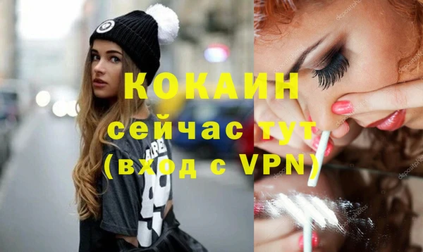 хмурый Гусь-Хрустальный