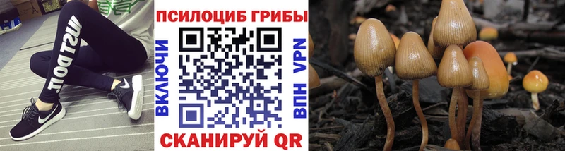 Псилоцибиновые грибы прущие грибы  Купить закладки  Углич 